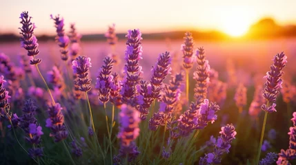 Foto op Plexiglas a close up of purple flowers © sam