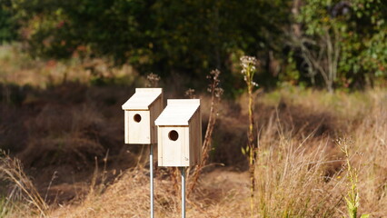 The bird house view in the reserved wild park
