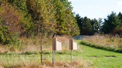The bird house view in the reserved wild park
