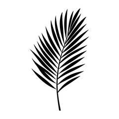 A Palm Tree Leaf Silhouette vector isolated on a white background