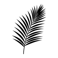 A Palm Tree Leaf Silhouette vector isolated on a white background