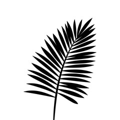 A Palm Tree Leaf Silhouette vector isolated on a white background
