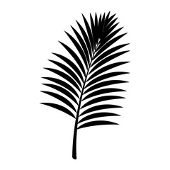 A Palm Tree Leaf Silhouette vector isolated on a white background
