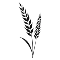 Tuinposter Wheat ears Vector isolated on a white background, A Wheat grain silhouette  © Enamul