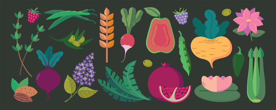 Vector set of herbs, nuts, spices, fruits and berries, vegetables, flowers icons cliparts isolated illustrations