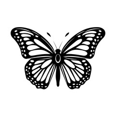 Monarch Butterfly - obrazy, fototapety, plakaty