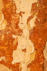 Weathered wall closeup