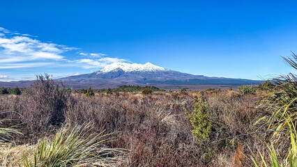 The volcanic terrain of the National Park in the western side of the Central plateau of New Zealand