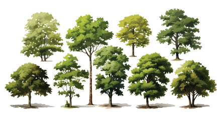 Set of trees, water color effect in trees, vector, eps,