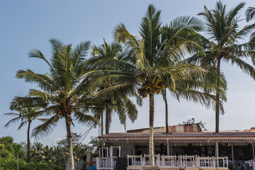 hotel or holiday home in jungle among palm trees on ocean