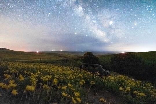 Starry Skies Over Old Car In Flowers