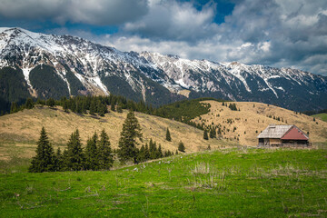 Spring pasture scenery and snowy mountain ridge, Transylvania, Romania