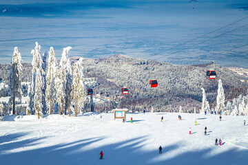 Ski gondolas and skiers on the ski slope, Romania - obrazy, fototapety, plakaty
