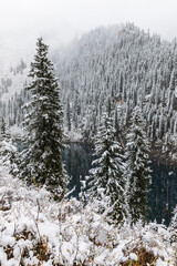 mountain landscape of Lake Kaindy in the Kungei Alatau gorge, it is called the “sunken forest”, Kazakhstan