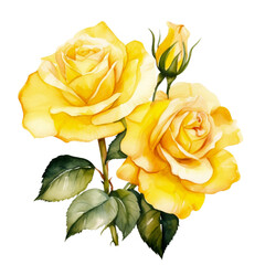 watercolor rose in retro style illustration isolated on white background