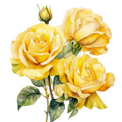 watercolor rose in retro style illustration isolated on white background