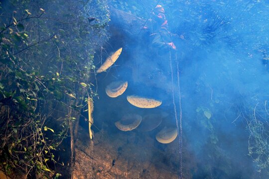 honey hunting in siurung village, lamjung