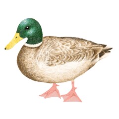 名称未設定のアートワーク