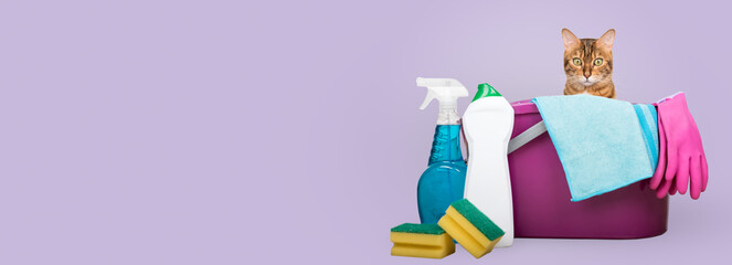 Cleaning products and tools for home cleaning.