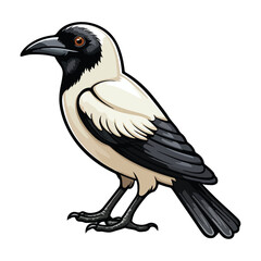 Magpie bird animal in cartoon style on transparent background, Magpie bird sticker design.
