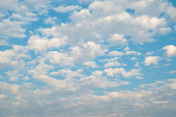 青空に浮かぶ美しい雲