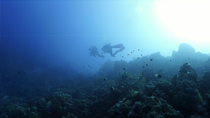 Fototapeta na wymiar Silhouette of scuba diver in rays of sunlight. Underwater photo from a scuba dive.