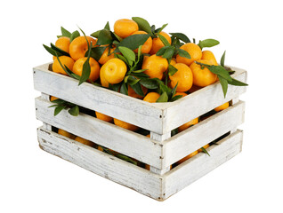 White wooden crate with many mandarins isolated on white