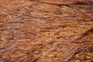 Background of beige llama wool skin, texture of brown lama fur