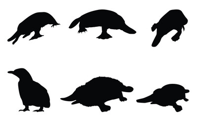 Platypus SILHOUETTES & VECTOR COLLECTION