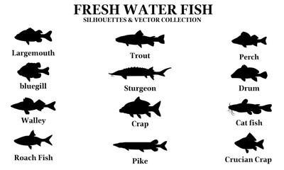 FRESH WATER FISH SILHOUETTES & VECTOR COLLECTION