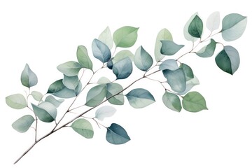 Watercolor With Eucalyptus, Leaves, Twigs, And Berries