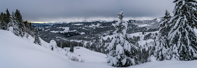 Snowshoe tour to the Tennenmooskopf on the Nagelfluhkette in the Allgau Alps