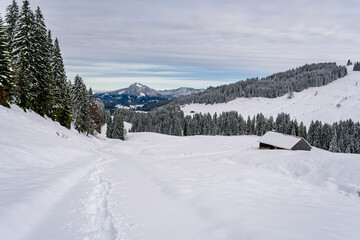 Fototapeta na wymiar Snowshoe tour to the Tennenmooskopf on the Nagelfluhkette in the Allgau Alps