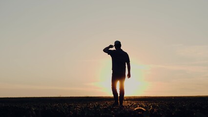 Farmer agronomist silhouette examines height and leaf structure of seedlings at sunrise
