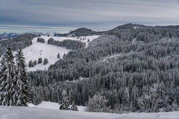 Snowshoe tour to the Tennenmooskopf on the Nagelfluhkette in the Allgau Alps
