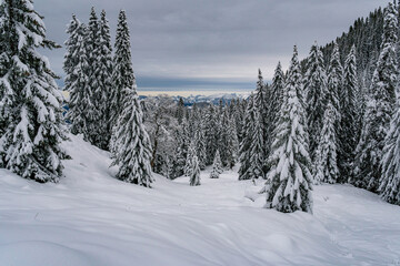 Snowshoe tour to the Tennenmooskopf on the Nagelfluhkette in the Allgau Alps