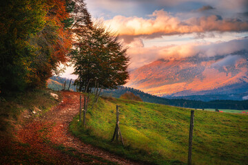Countryside autumn landscape on Cansiglio highplane at sunset. Road with autumn trees and leaves on the foreground, meadows and mountains on the background