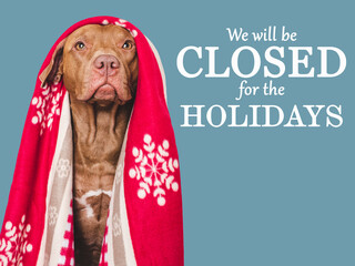 Signboard with the inscription We will be closed for the Holidays. Cute puppy. Closeup, indoors. Studio shot. Pets care concept - obrazy, fototapety, plakaty