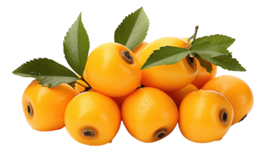 A Realistic Image Showcase of Loquat on White or PNG Transparent Background