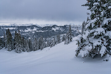 Snowshoe tour to the Tennenmooskopf on the Nagelfluhkette in the Allgau Alps