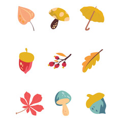 Set of autumn leaves, branches and berries.