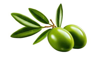 A Realistic Image Showcase of Olive on White or PNG Transparent Background