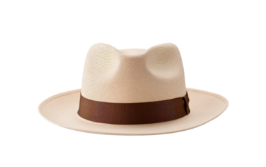A Realistic Glimpse into the Timeless Panama Hat Fashion on White or PNG Tarnsparent Background