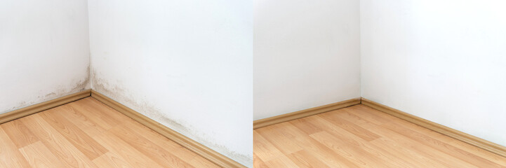 Mold in the corner of a wall above the laminate flooring, photos before and after...