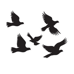 Obraz premium Pigeon flock flying silhouette vector icon is isolated on white background