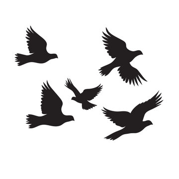 Pigeon flock flying silhouette vector icon is isolated on white background