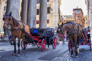 Rome's famed botticelle horse-drawn carriages to move to parks. The horses are subject to too much stress and strain on Rome's hot cobbled streets.