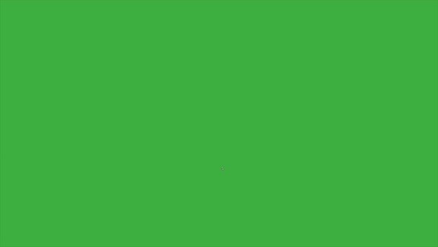 Video loop animation of a moving leaf stem on green screen background, remove the green screen background using the video editing software you use