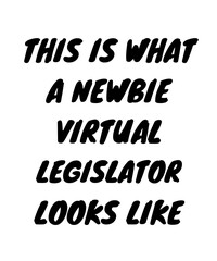Newbie virtual legislator
