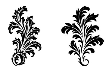 Acanthus Vector isolated on a white background, Vintage Baroque Decorative Ornament element silhouette